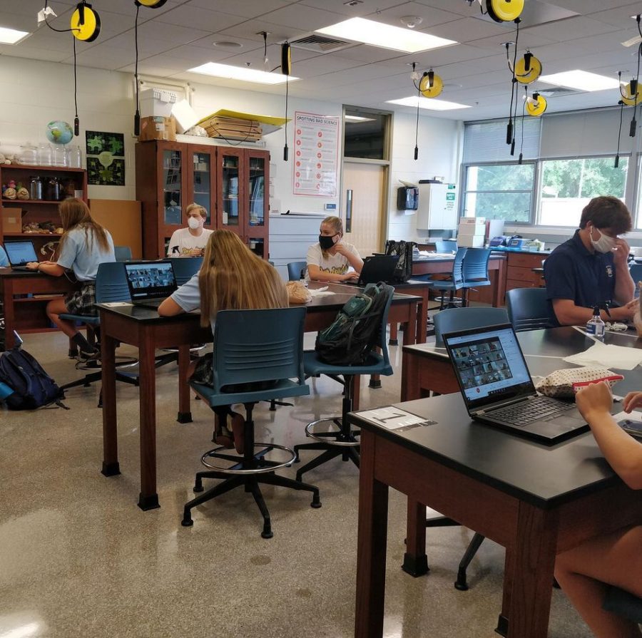 AP Biology students work diligently in class.