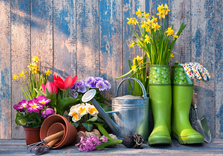 Blooming into Spring: Gardening Advice for Spring Planting