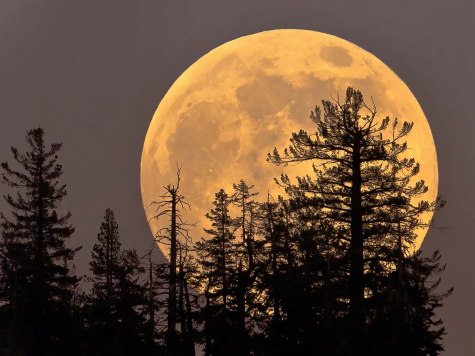 A Supermoon on May 25  and 26