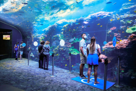 The Ocean Voyager exhibit at the Georgia Aquarium