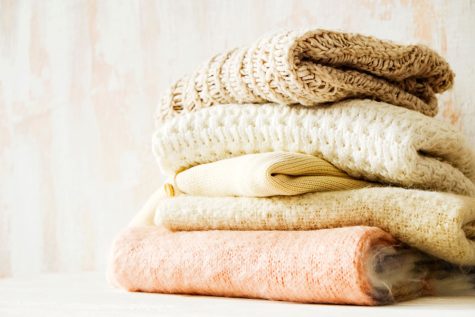 Fall Favorites